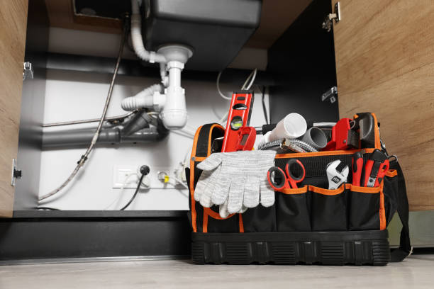 Best Shower Repair Services  in Sappington, MO